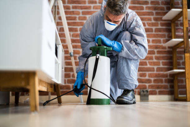 Best Pest Exclusion Services  in Morgandale, OH